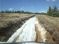 So leicht geht das auch nicht, mehrere Anl�ufe n�tig ...