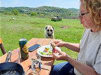 Groes Interesse, aber unaufdringlich ...