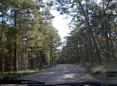 Hiiuuma: Spapisten ...