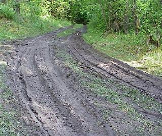 Schlammpiste durch den Wald ...
