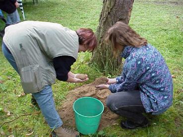 3 kg Sand aus dem frnkischen Wadi  - gar nicht so einfach ...