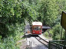 Der Alpenzoo naht ...