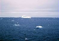 Erste Eisschollen voraus ...