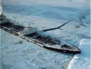 Ganzjhrige ltransporte unter arktischen Bedingungen?