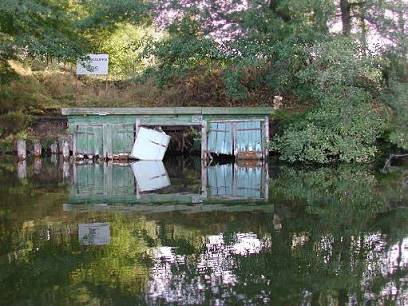 Vegetation zum Teil bis in den Fluss hinein ...