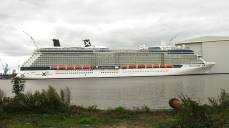 Celebrity Reflection
