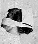 Schutz vor gefhrlicher Infektion ..?