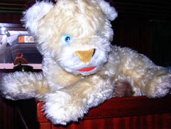 Ruhepol an Bord: Löwenmädchen Leo ... Ruhepol an Bord: Löwenmädchen Leo ...