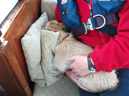 Wo ist mein Bett?? Wo ist mein Bett??