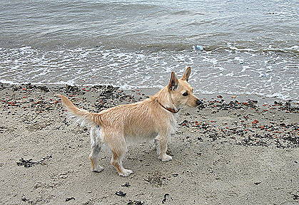 Loona: Interesse an Wellen unübersehbar ... Loona: Interesse an Wellen unübersehbar ...