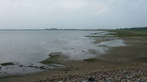 Uferbereich nördlich der Einfahrt nach Borkum ... Uferbereich nördlich der Einfahrt nach Borkum ...