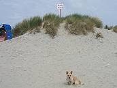 Hier ist mein Strand, hier darf ich sein ... Hier ist mein Strand, hier darf ich sein ...