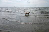 Wie weit kommen hier `Tiefergelegte´..? Wie weit kommen hier `Tiefergelegte´..?