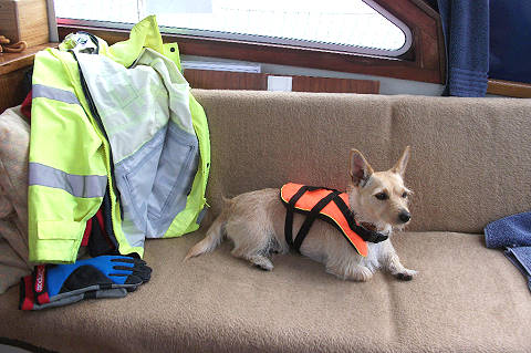 Rettungsschwimmerin ..? Rettungsschwimmerin ..?