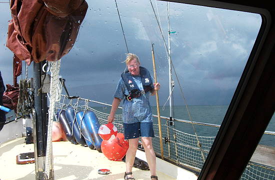 Rettung von Wasserbllen gelingt ...