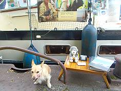 pacifico bei der Festwoche Weener 2017