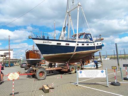 "Backdecker" pacifico (Bild: J�rgen Sattler)