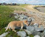 Loona unterwegs ... Loona unterwegs ...