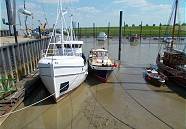 Ebbe: Die pacifico "fllt trocken" ...