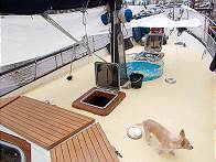 Loona arbeitet an Deck ...