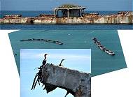 Sie werden wohl noch Jahrzehnte berdauern ...