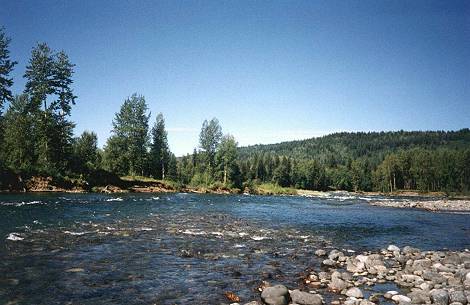Wildromatischer Cariboo ...