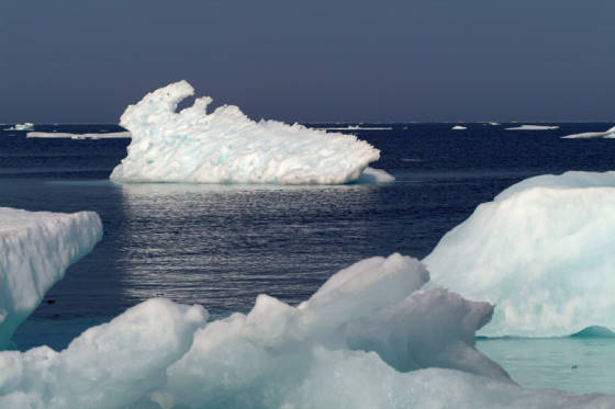 Reiseziel Arktis ...