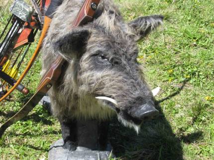 Die Ziele sind tuschend echt gestaltet ...