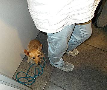 Kurz raus mit Loona ...