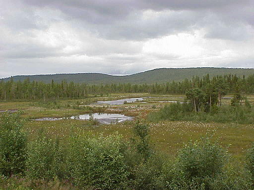 Moore und Seen: In den Weiten Kareliens ...