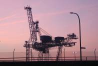 ... und abendliche Kran-Silhouetten ...