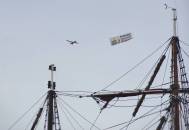 Marketing-berflieger ...