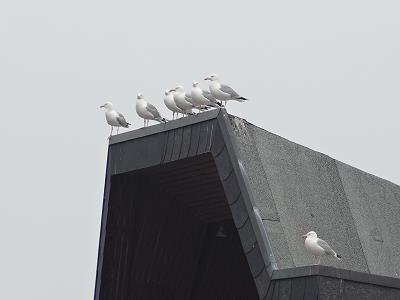 Warten auf die Tagesgäste? Warten auf die Tagesgäste?