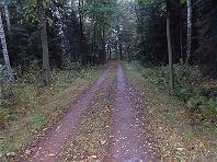 Los geht´s! Los geht´s!