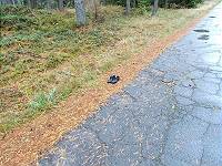 Besitzer Barfuß im Regen ..? Besitzer Barfuß im Regen ..?