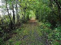 Auf in den Märchenwald ... Auf in den Märchenwald ...