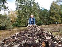 Wilder Ritt durchs Gelände ... Wilder Ritt durchs Gelände ...