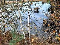 Idylle hier und überall ... Idylle hier und überall ...