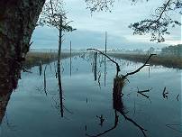 ... aber recht mystisch bleibt es dennoch ... ... aber recht mystisch bleibt es dennoch ...