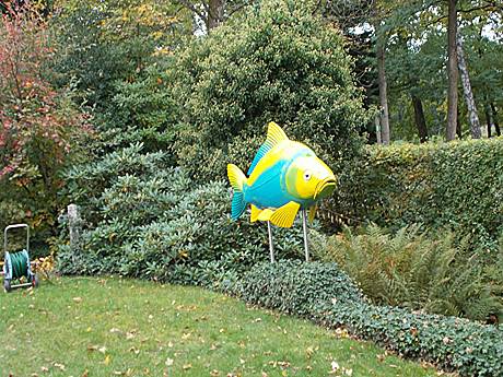 So sehen die Fische hier aus? So sehen die Fische hier aus?