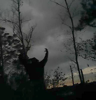 Da ist er ja endlich! ;-))