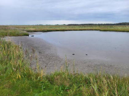 S��wassersee im Moor ...