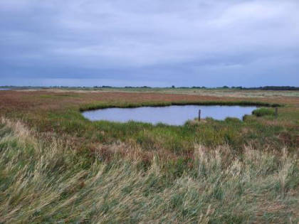 Ein weiterer S��wassersee im Moor