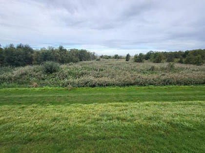 Getrocknetes Moor ...