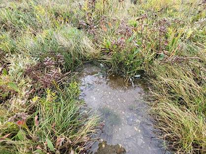 Wie sicher ist es hier noch?