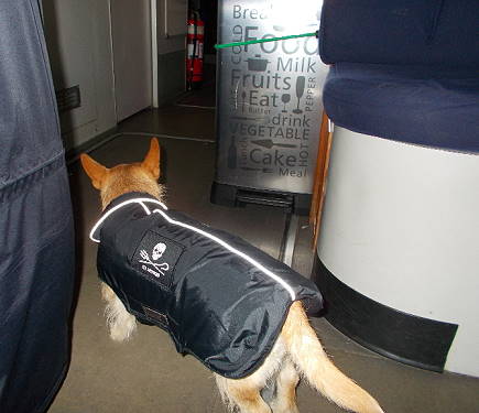 Bei Sea Shepherd an Bord: Loona-Besuch auf der BRIGITTE BARDOT ...