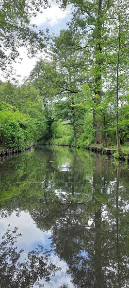 Natur-Idylle (1) ...