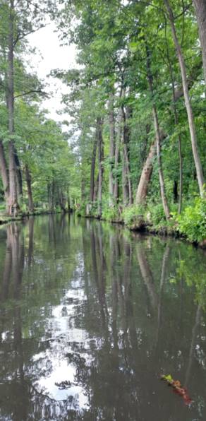 Natur-Idylle (2) ...