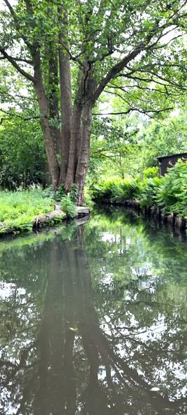 Natur-Idylle (3) ...