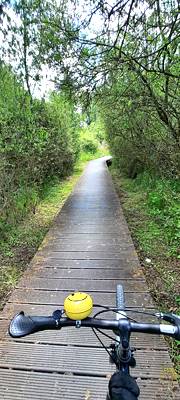 Holzstege zur Bodenschonung ... Holzstege zur Bodenschonung ...
